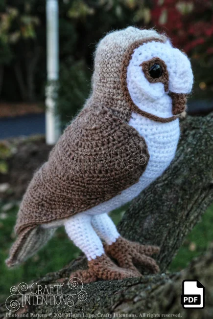 Barn Owl Crochet Pattern by Crafty Intentions DIGITAL PDF Downloadable - Image 7
