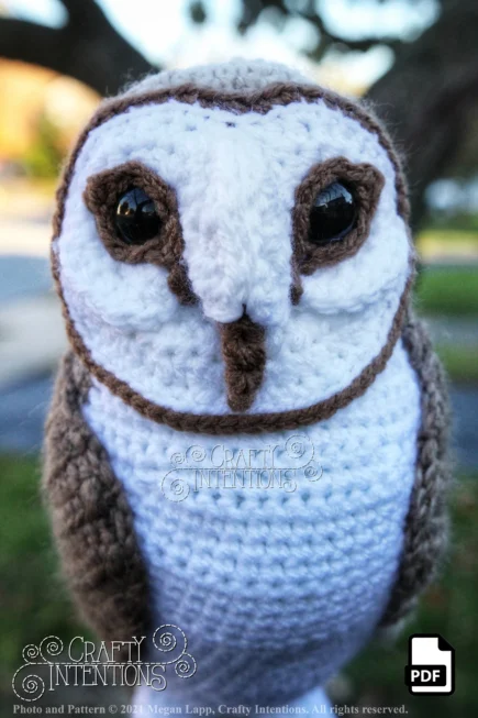 Barn Owl Crochet Pattern by Crafty Intentions DIGITAL PDF Downloadable - Image 5